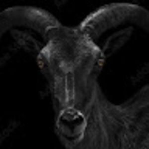 Meet your Posher, Rodney